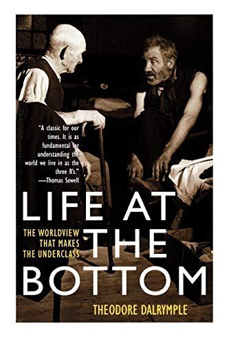 Book cover for Life at the Bottom